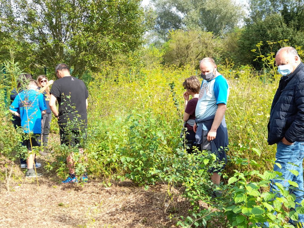 visite prairie fleurie