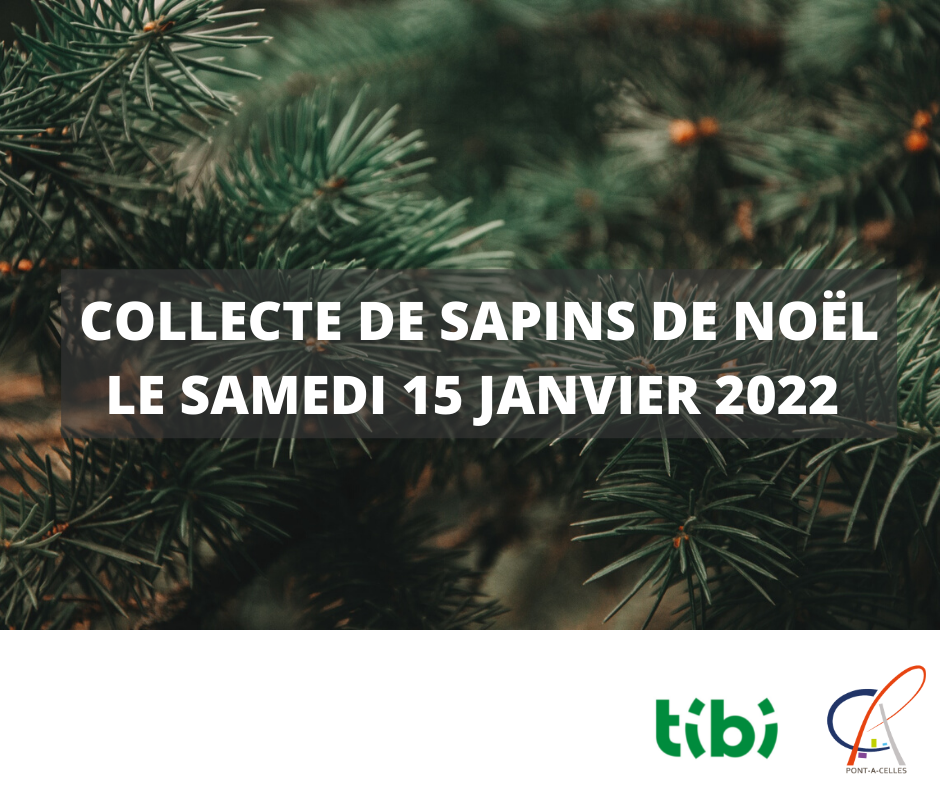 collecte sapins 2022